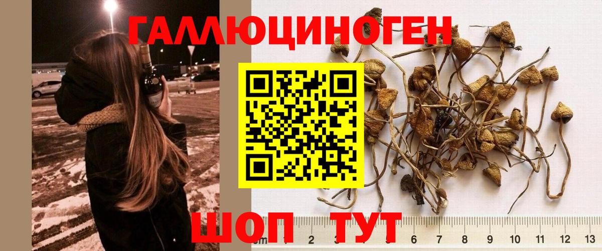 Междуреченск  Галлюциногенные грибы ЛСД  Вход с VPN 